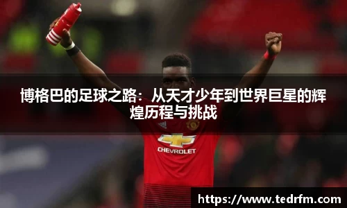 博格巴的足球之路：从天才少年到世界巨星的辉煌历程与挑战