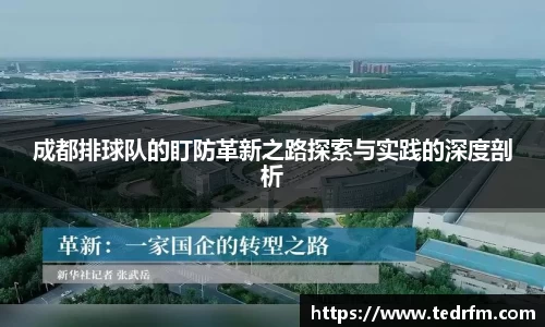 成都排球队的盯防革新之路探索与实践的深度剖析