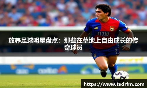 放养足球明星盘点：那些在草地上自由成长的传奇球员
