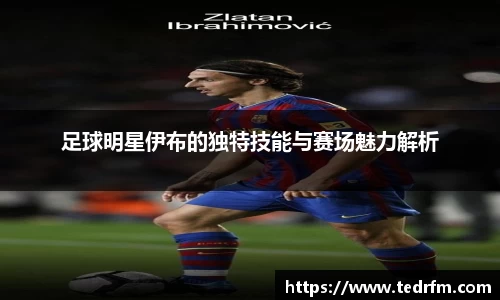 足球明星伊布的独特技能与赛场魅力解析